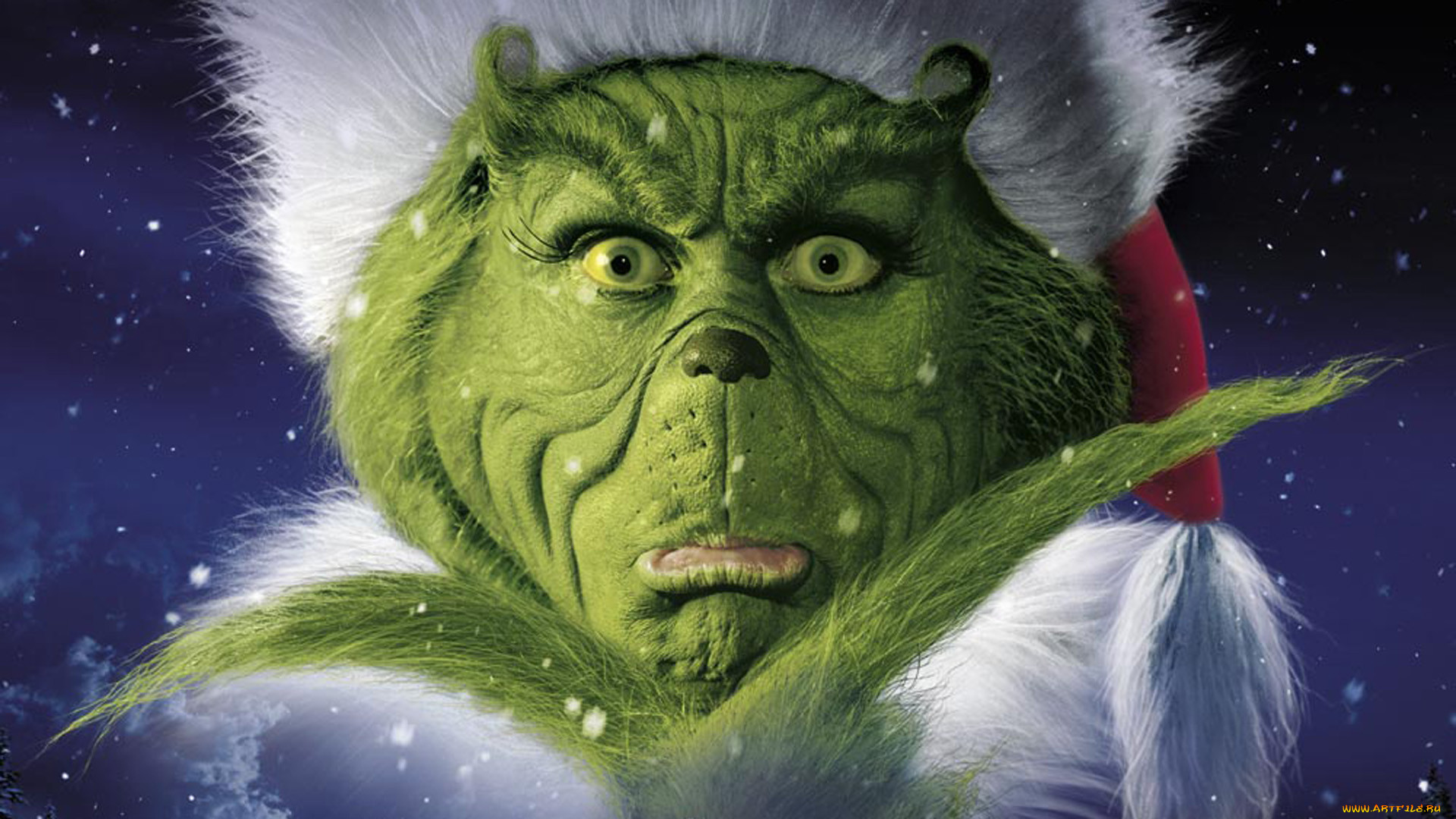 how, the, grinch, stole, christmas, , , jim, carrey
